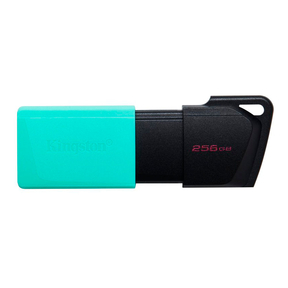 Kingston USB DataTraveler Exodia Retractil Negro/Turquesa (256 GB)_2